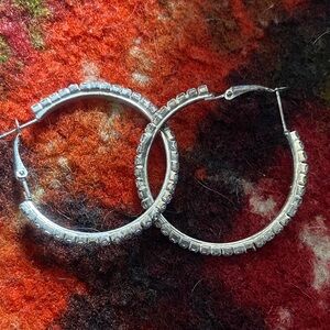 Elegant Silver Hoop Earrings